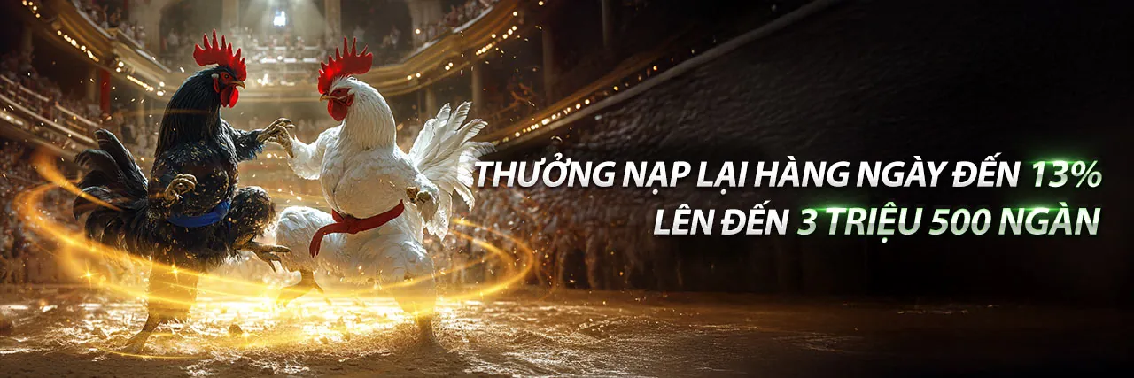 Đá gà trực tuyến Fly88 nhập code 2026