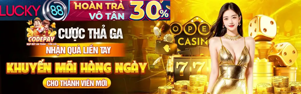 Đại diện hỗ trợ khách hàng fly88 nhập code